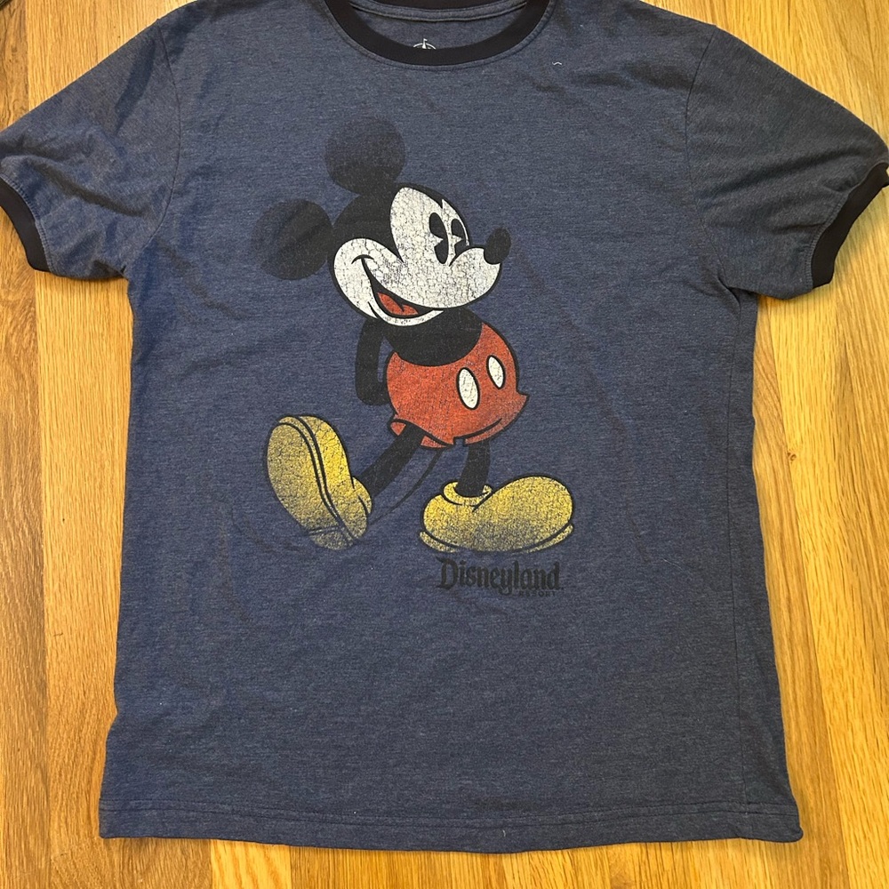 Disney Parks Authentic Blue T-Shirt
